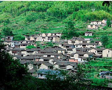 《中国传统村落谱系建立刍议》